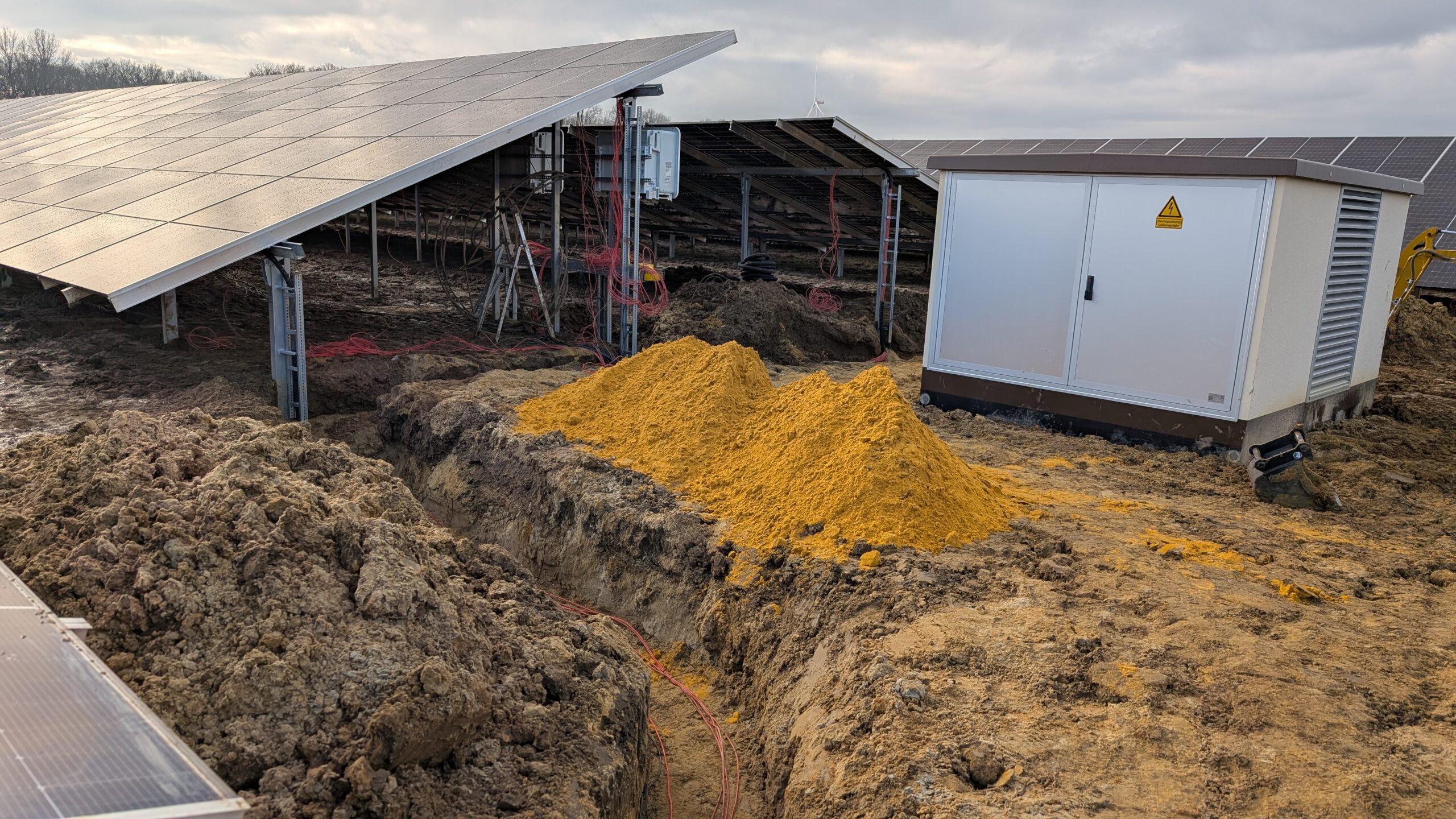 Update 01/2026 – BEGO Newsletter No 15